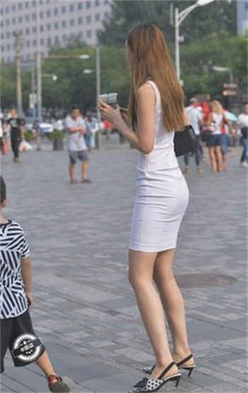 1747王城陈蓉小说
