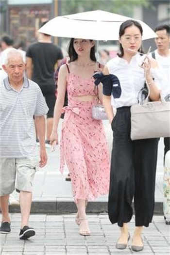 小猫八部曲在线观看
