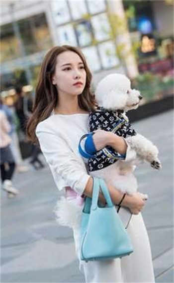 豪门暖婚之四爷追妻忙秦烨