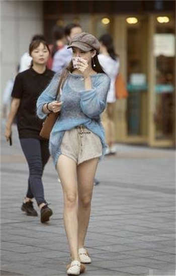 红楼之帝师贾琮